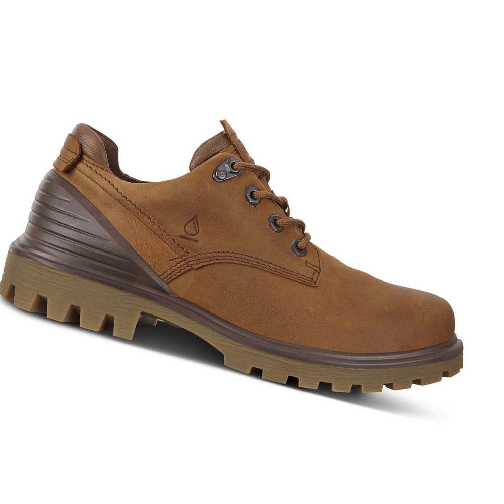 Men\'s Ecco Tredtray Hiking & Trail Brown | SG 575PJJ